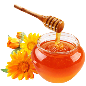 icon Manuka Honey