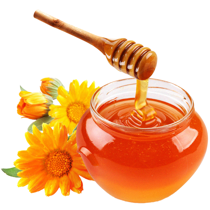 Manuka Honey in Bangladesh – Australian & New Zealand Brands